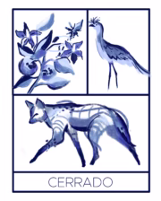 Camiseta "Cerrado" - Imagem 8