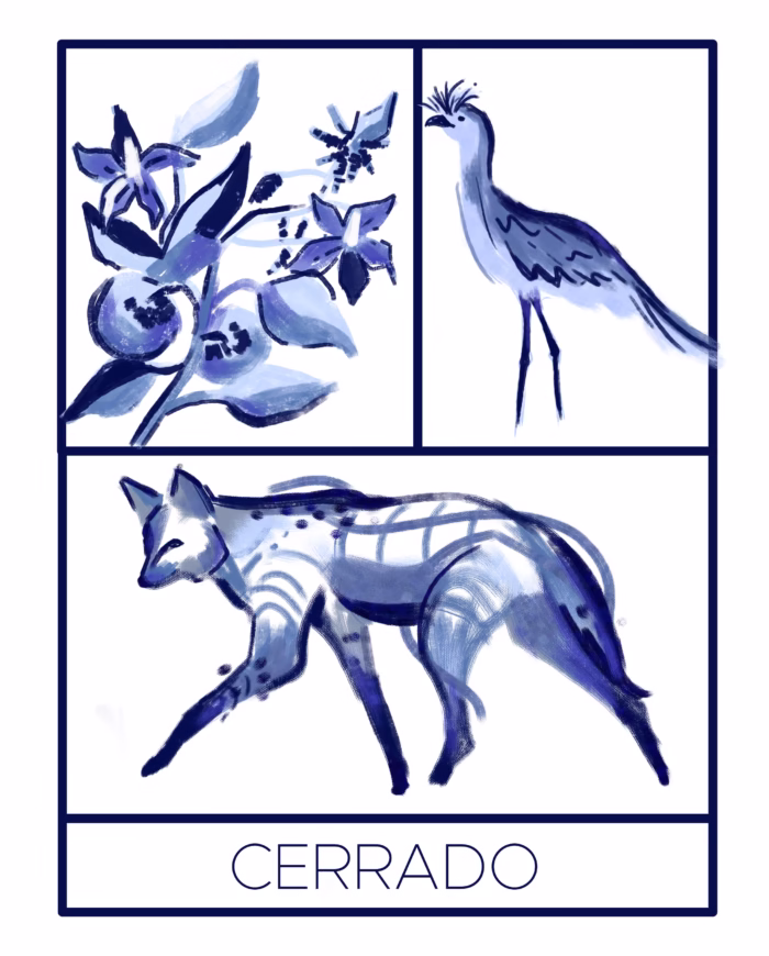 Camiseta "Cerrado" - Imagem 8